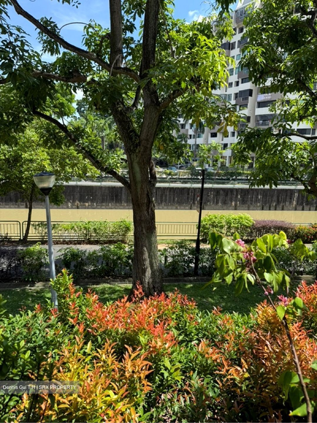 Lakeside Grove (D22), Terrace #613485841